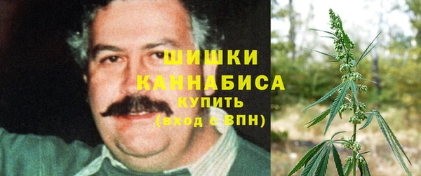 гидропоника Володарск