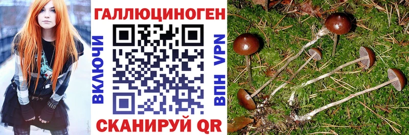 как найти наркотики  Ялта  Галлюциногенные грибы Cubensis 